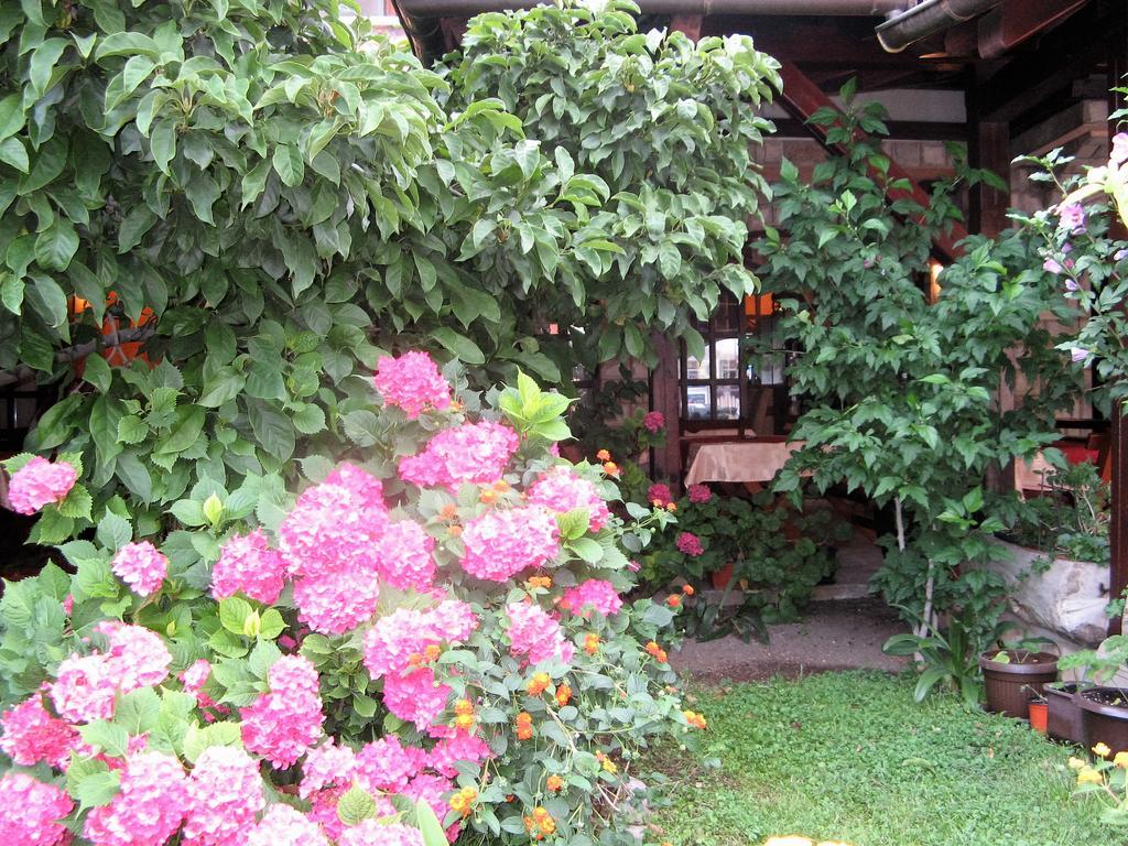 Guest House Zlatibor Budva Exterior photo